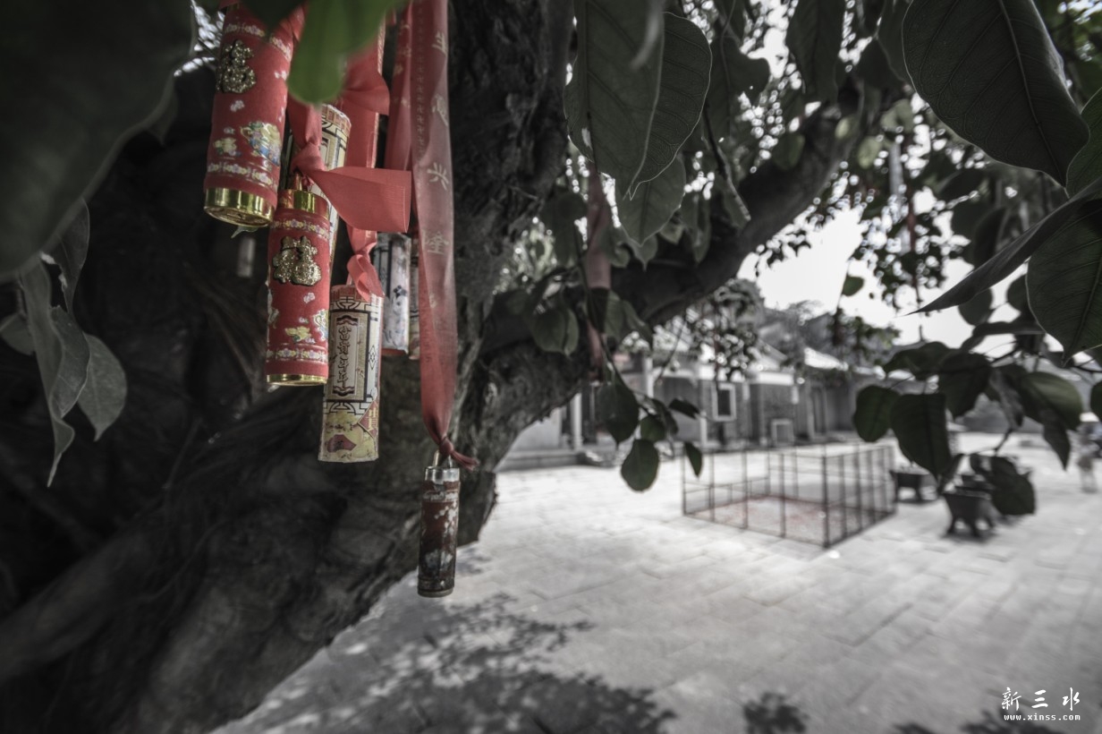 QQ截图20131002002548.jpg