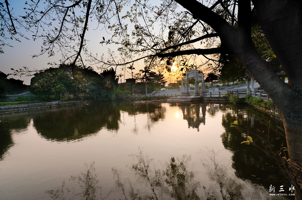 DSC_6031.jpg