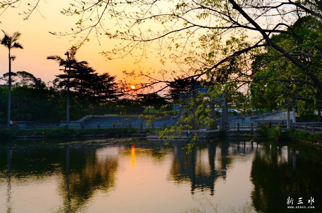 DSC_6063.jpg