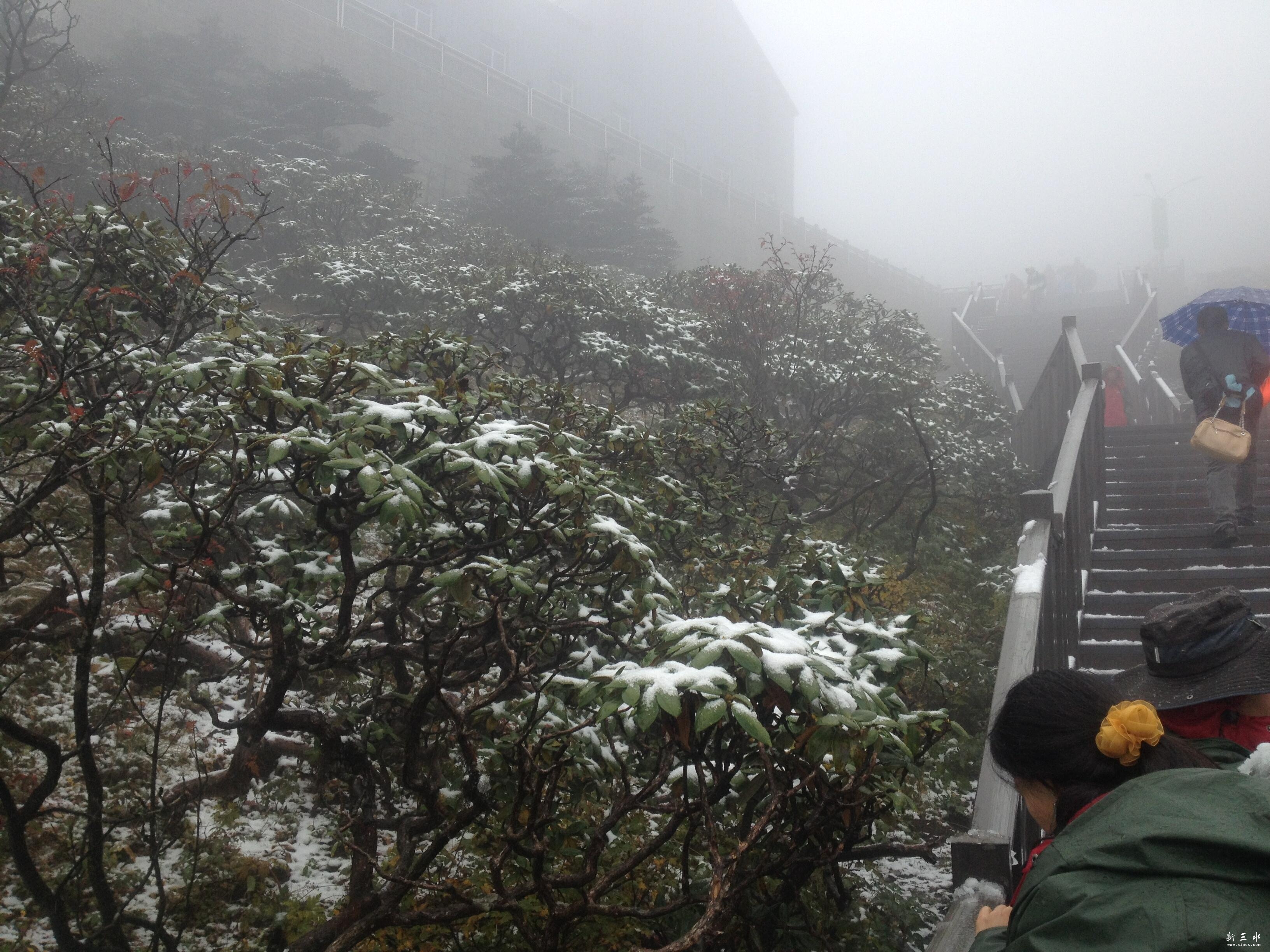 ������ɽϴ��̶