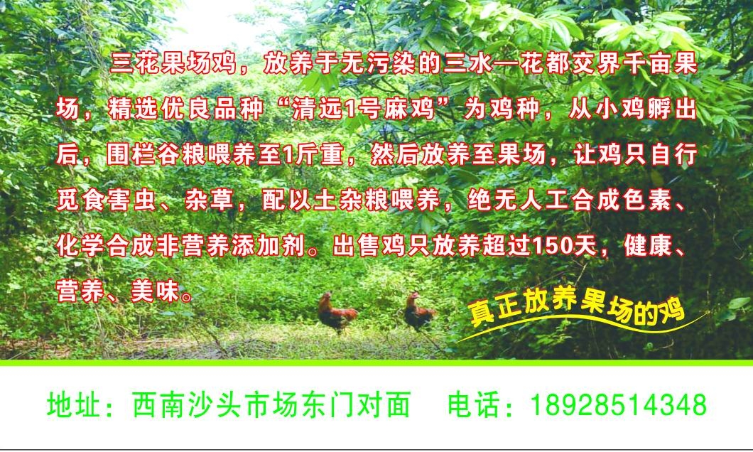 名片背面.jpg