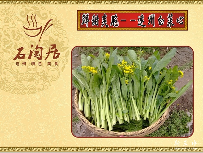 鲜甜爽脆 连州白菜心