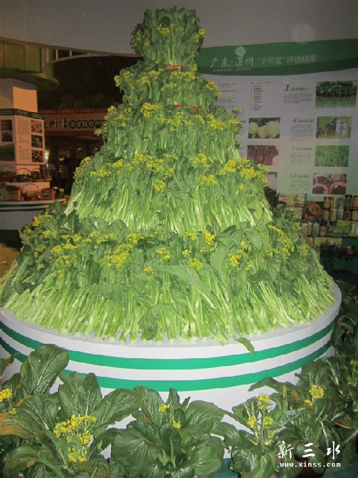 连州菜心节展示