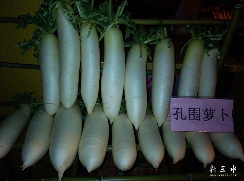 连州产萝卜