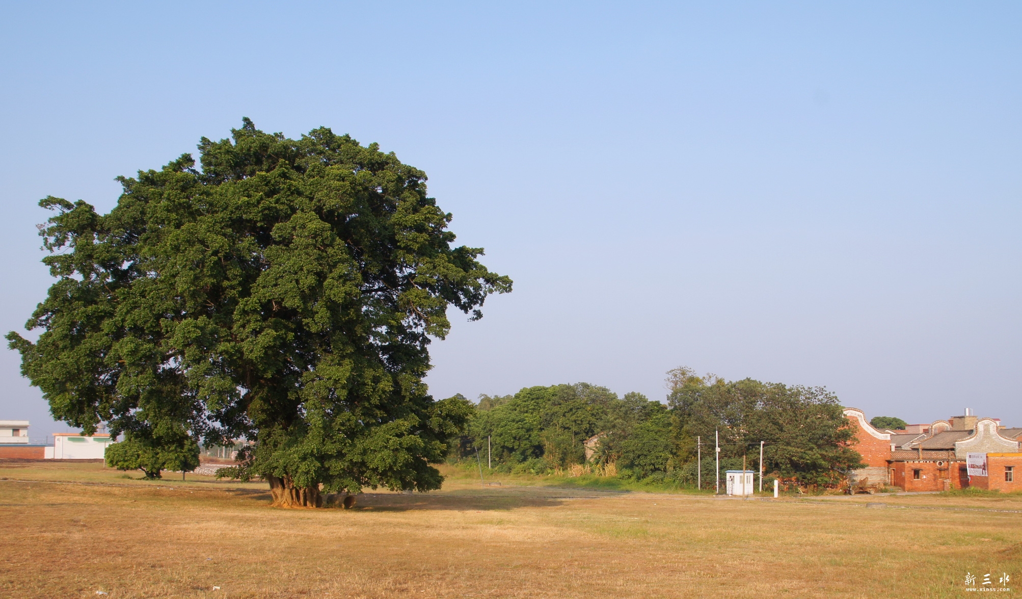 DSC03490.JPG