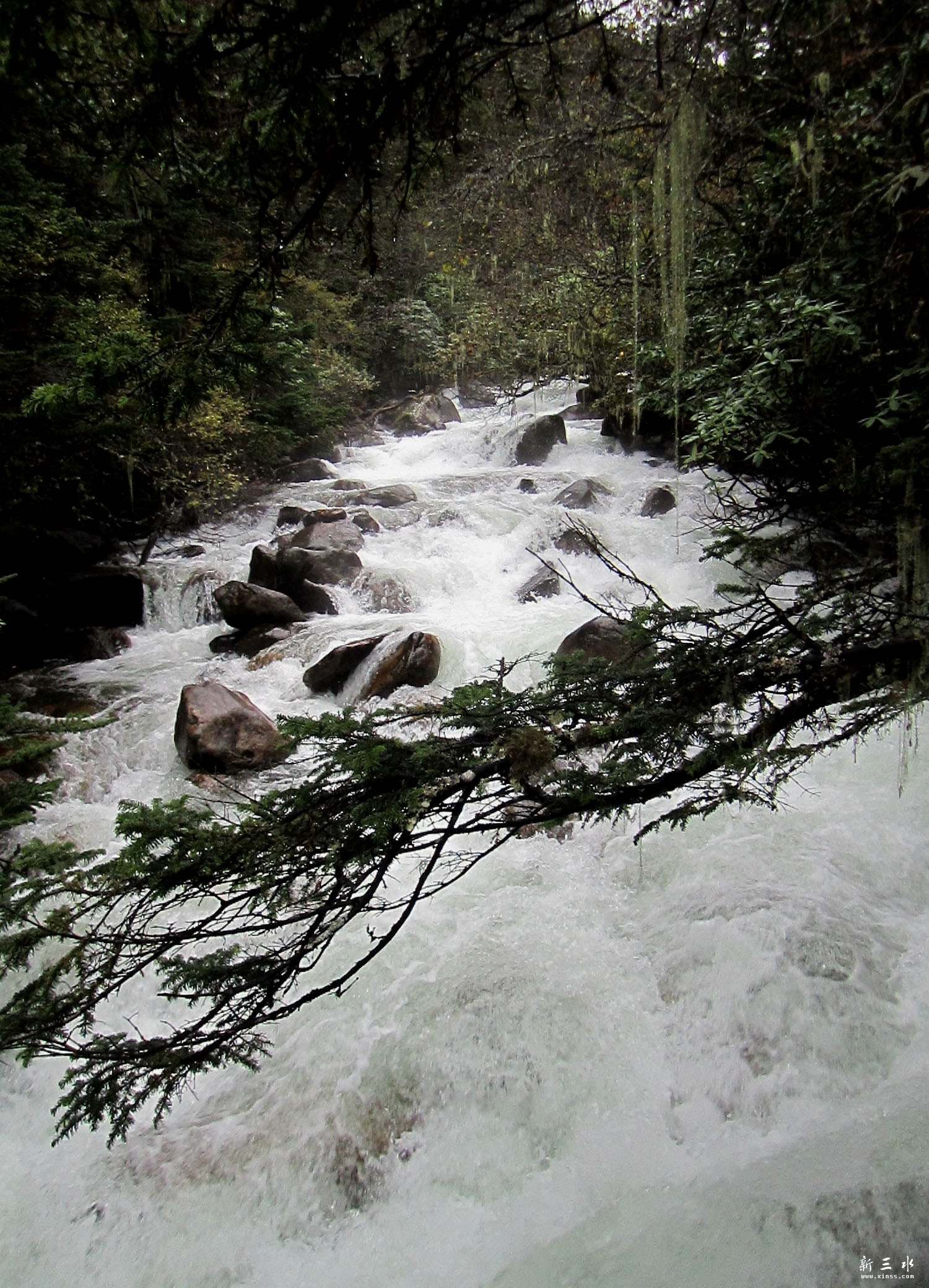 IMG_1216.jpg