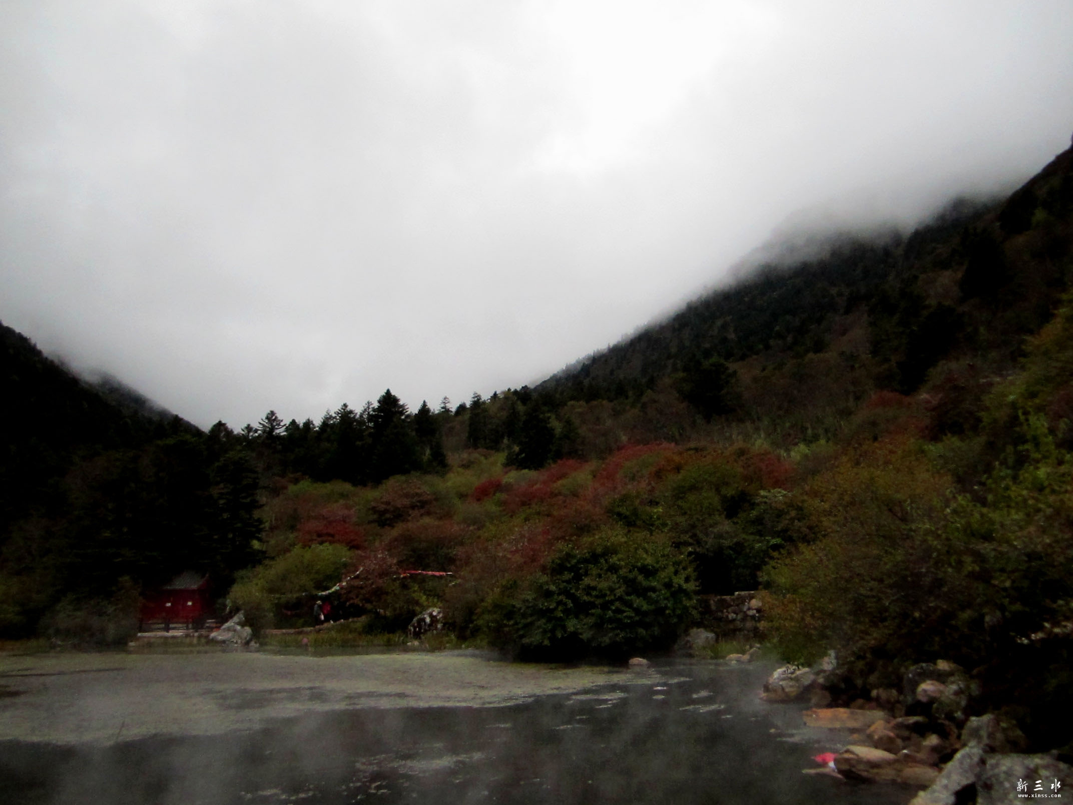 IMG_1233.jpg