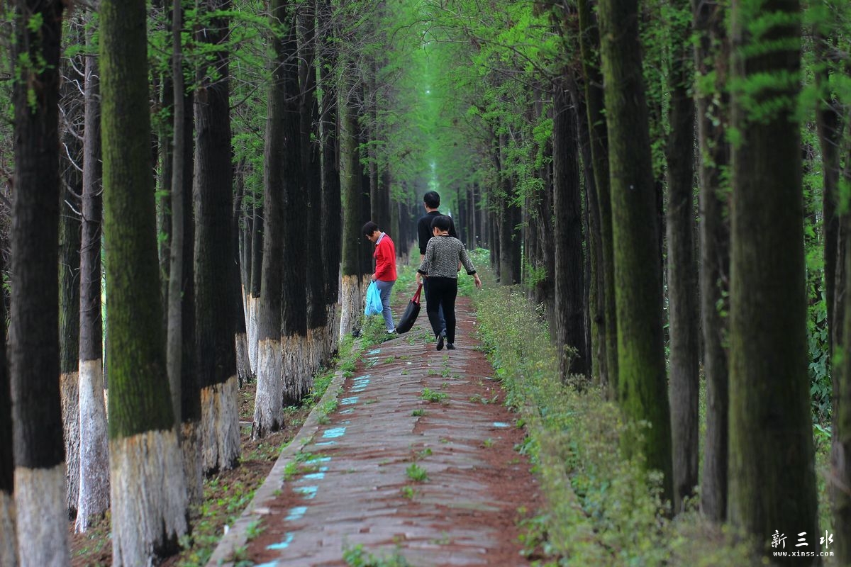 �ľ��Ĺ۾�С��1