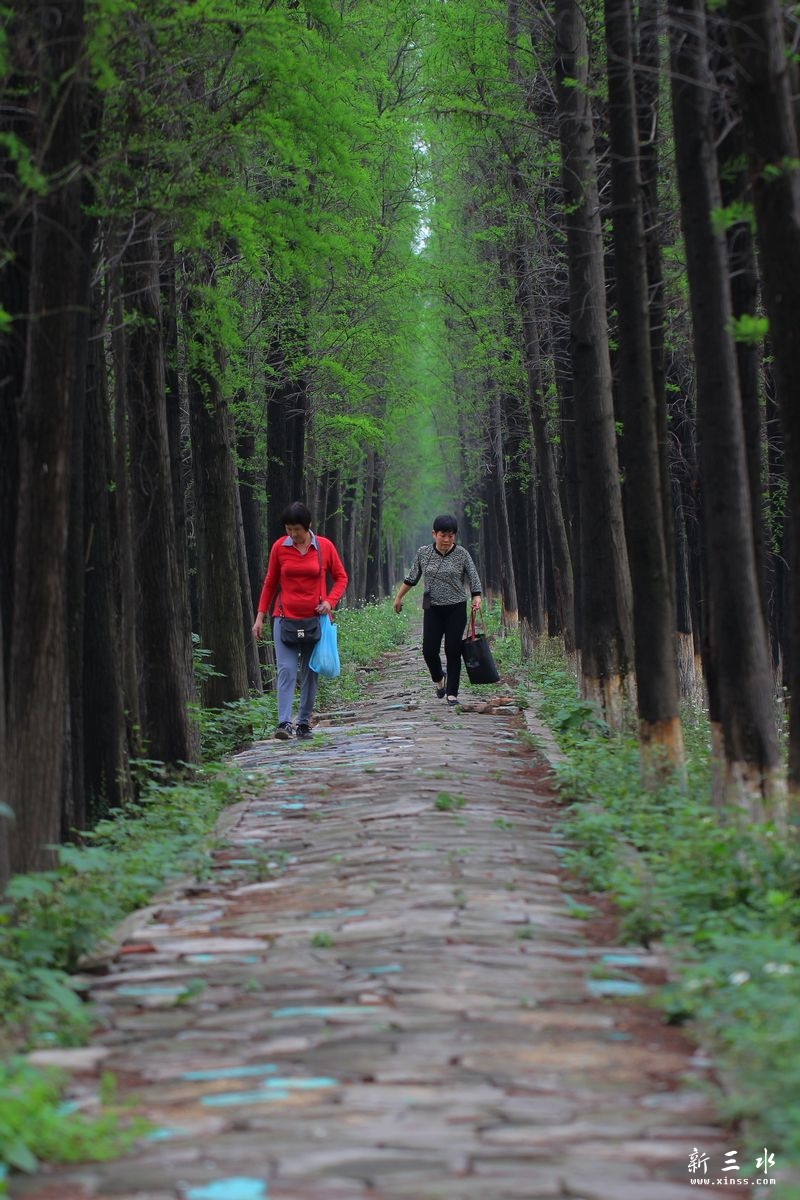 �ľ���С��2