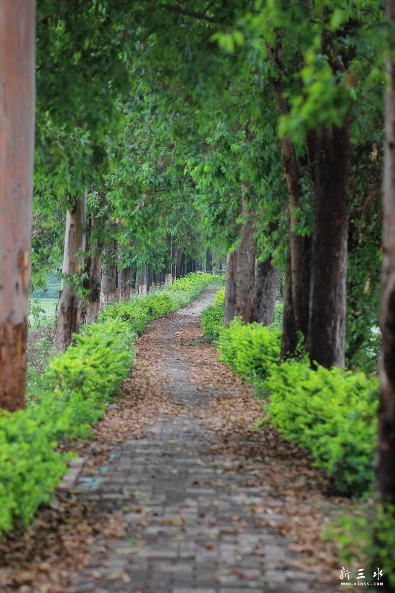 �ľ���С��3