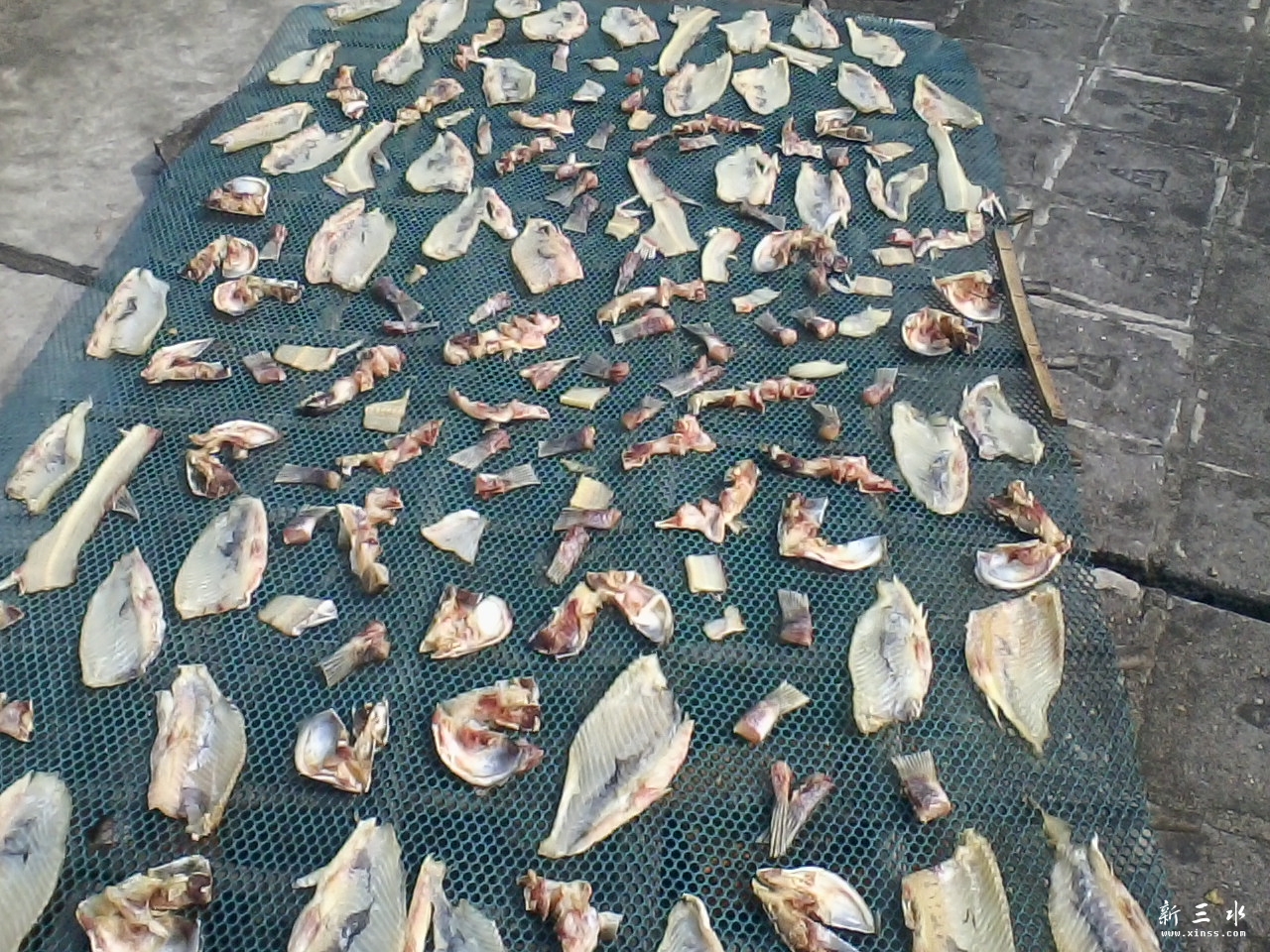 最新晾晒鱼骨腩头尾每斤22元.jpg