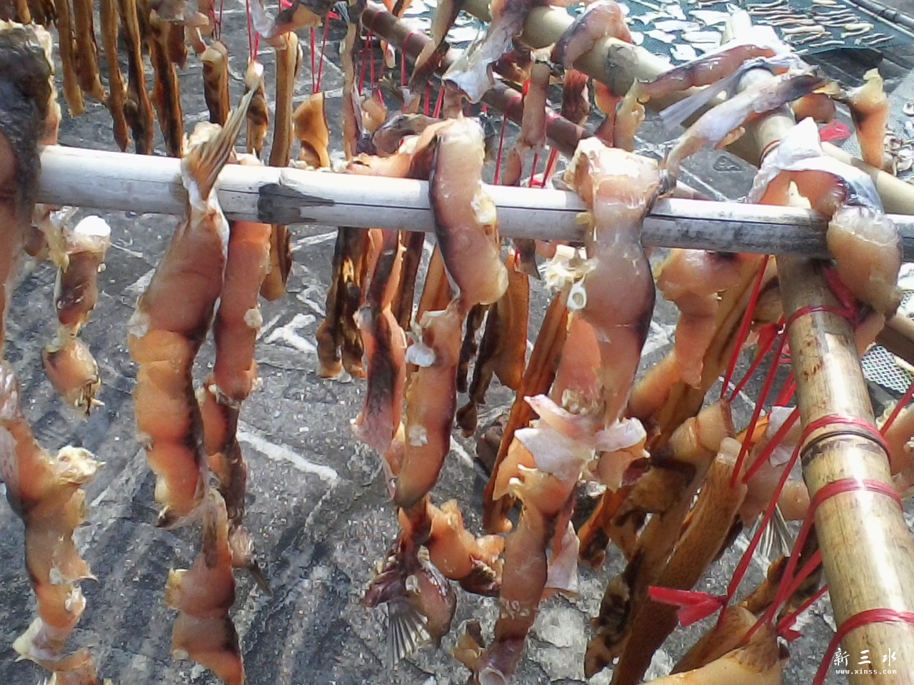 新鲜草鱼干.jpg