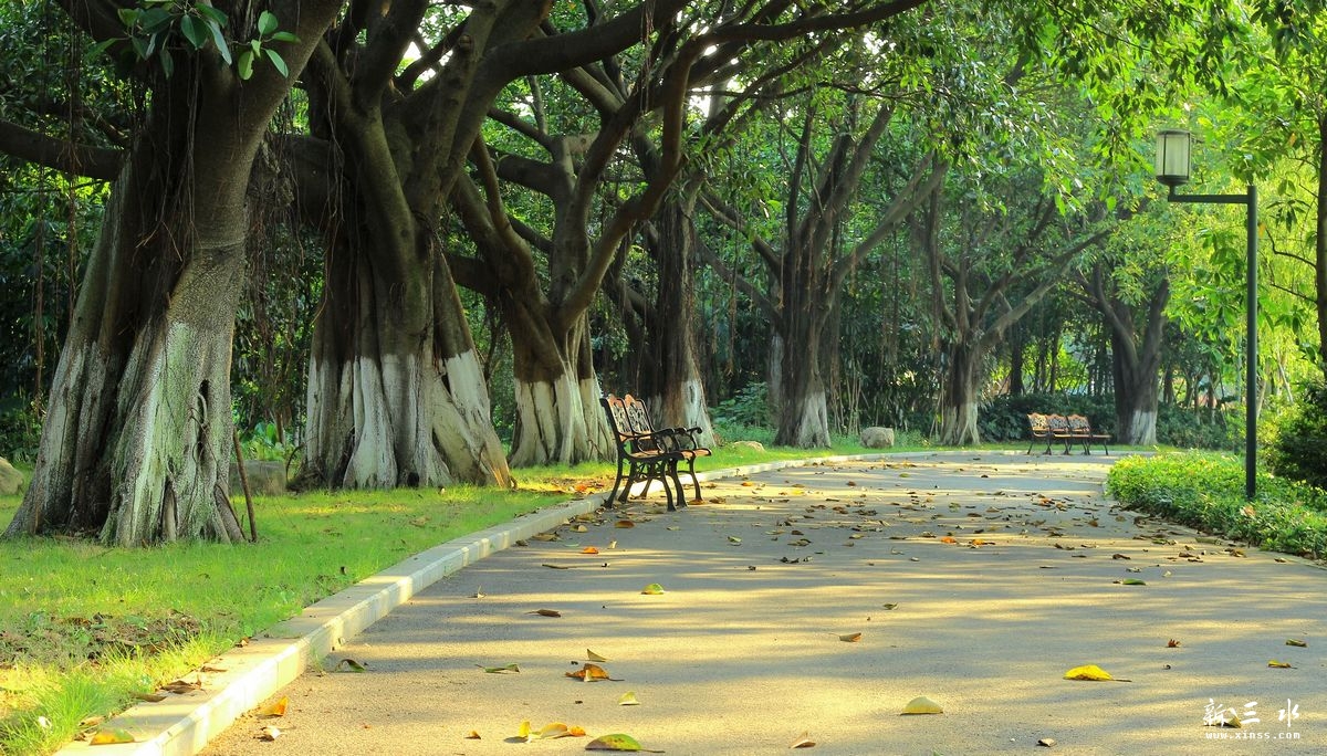 ��ˮ�ɻ�����