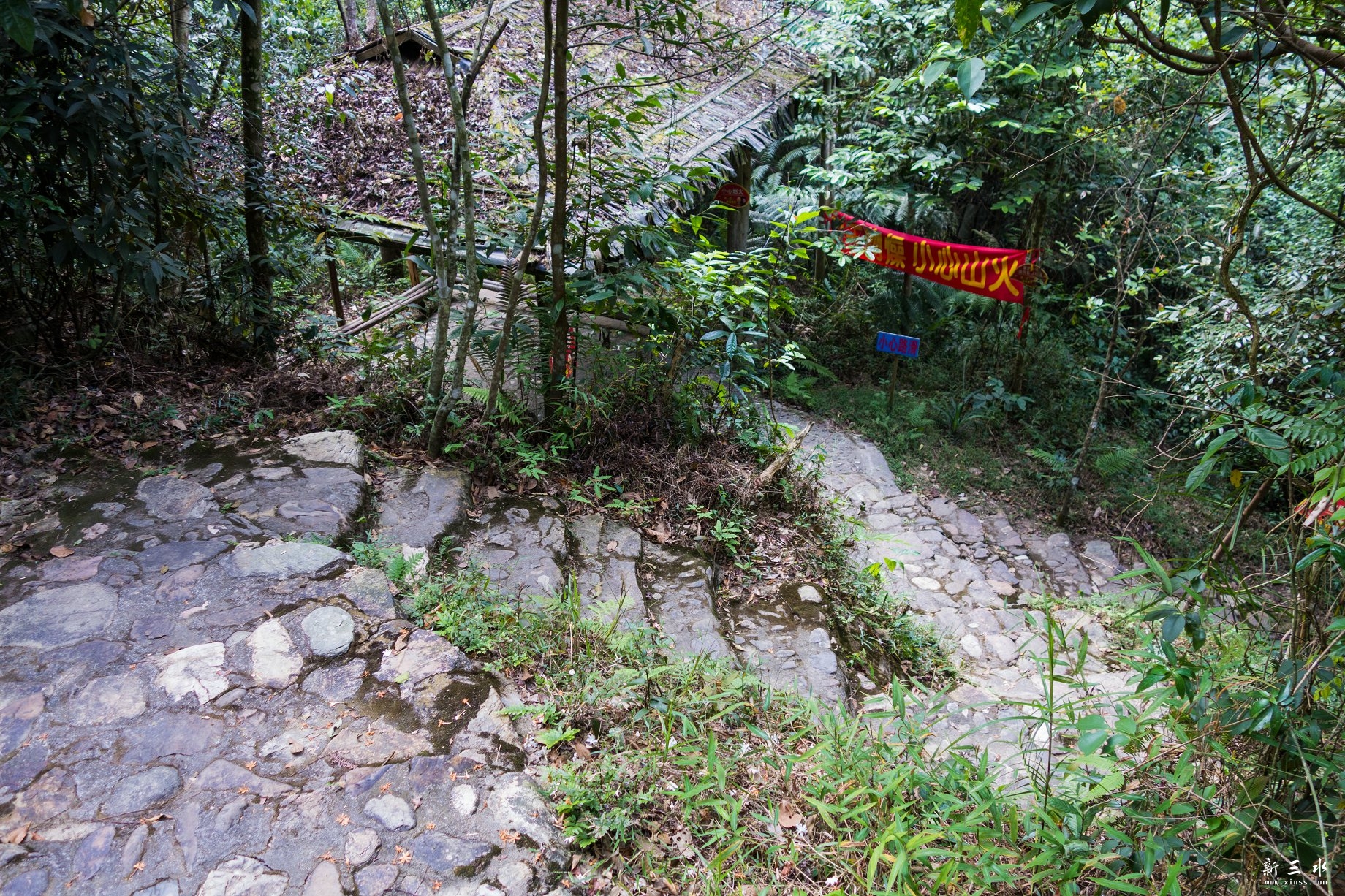 DSC02689.JPG