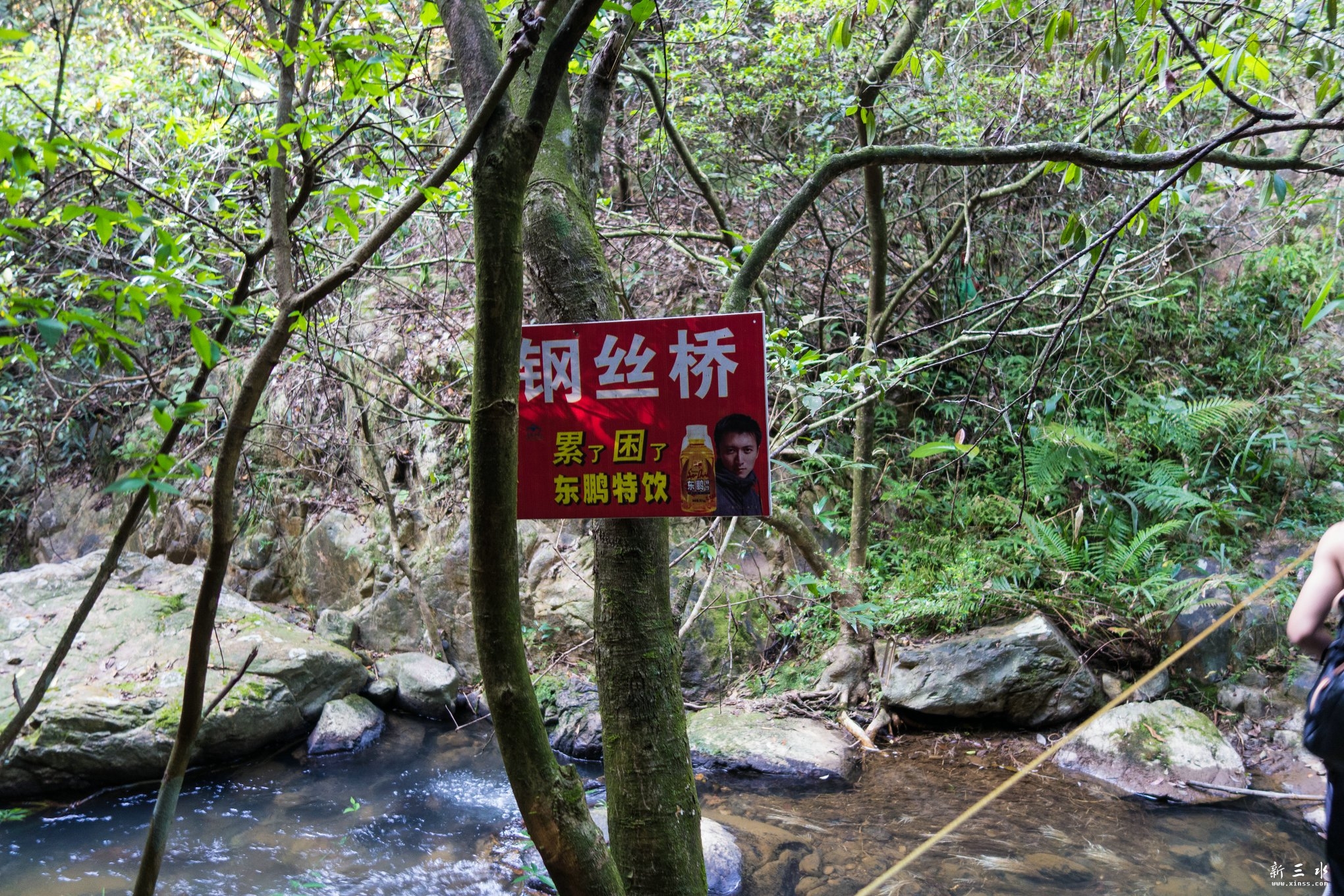 DSC02707.JPG
