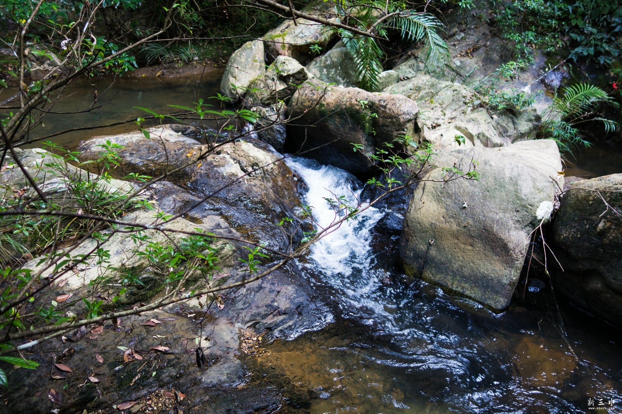 DSC02737.JPG