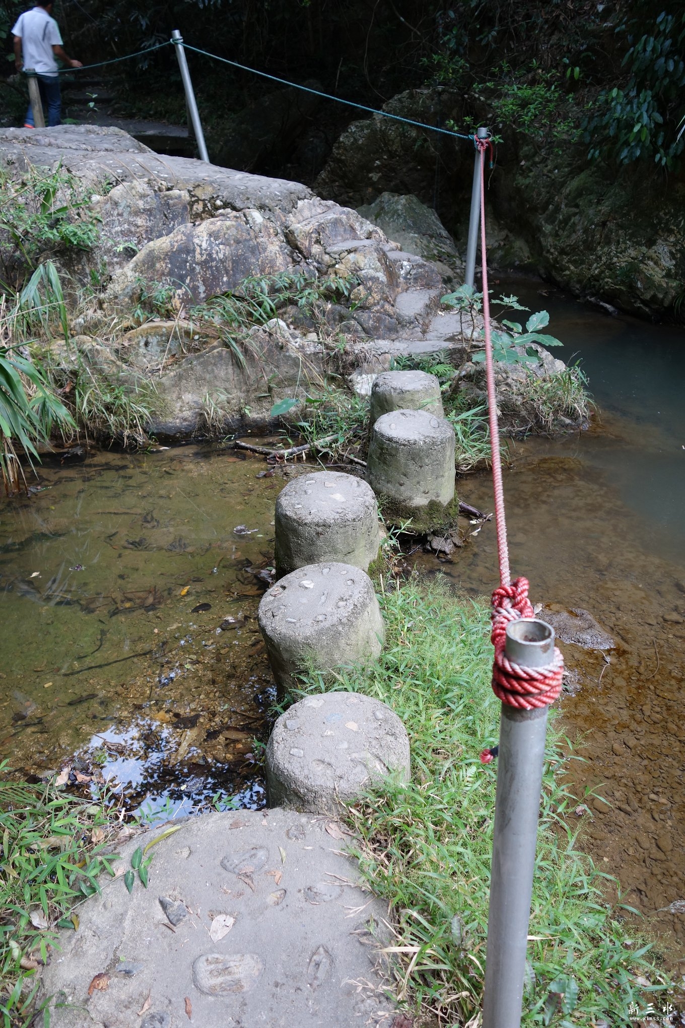 DSC02950.JPG