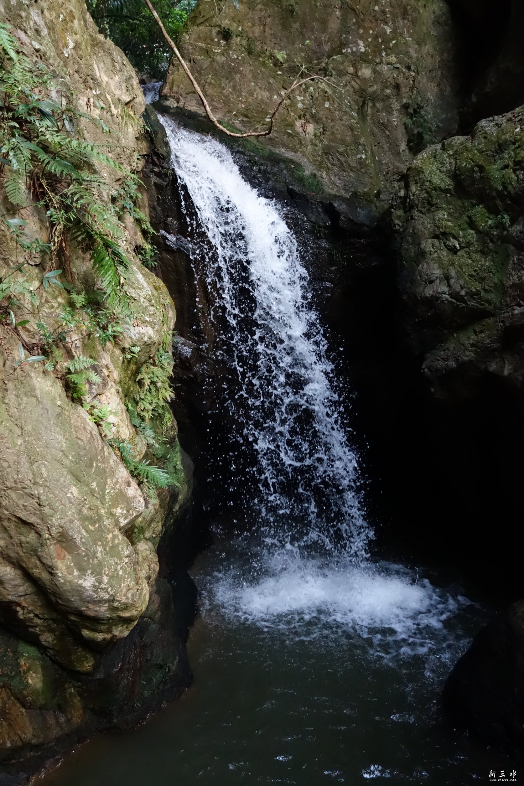 DSC03043.JPG