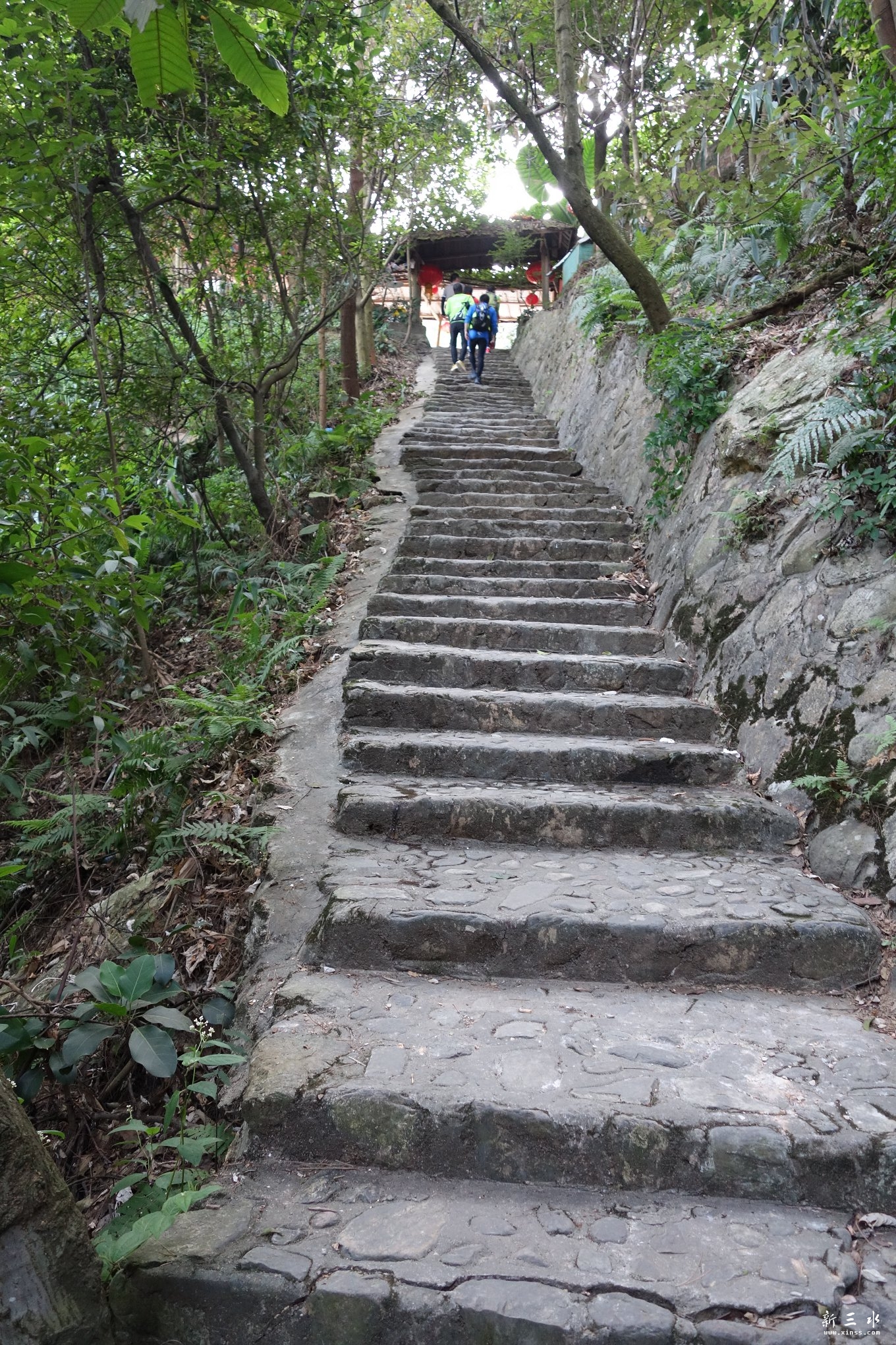 DSC03065.JPG