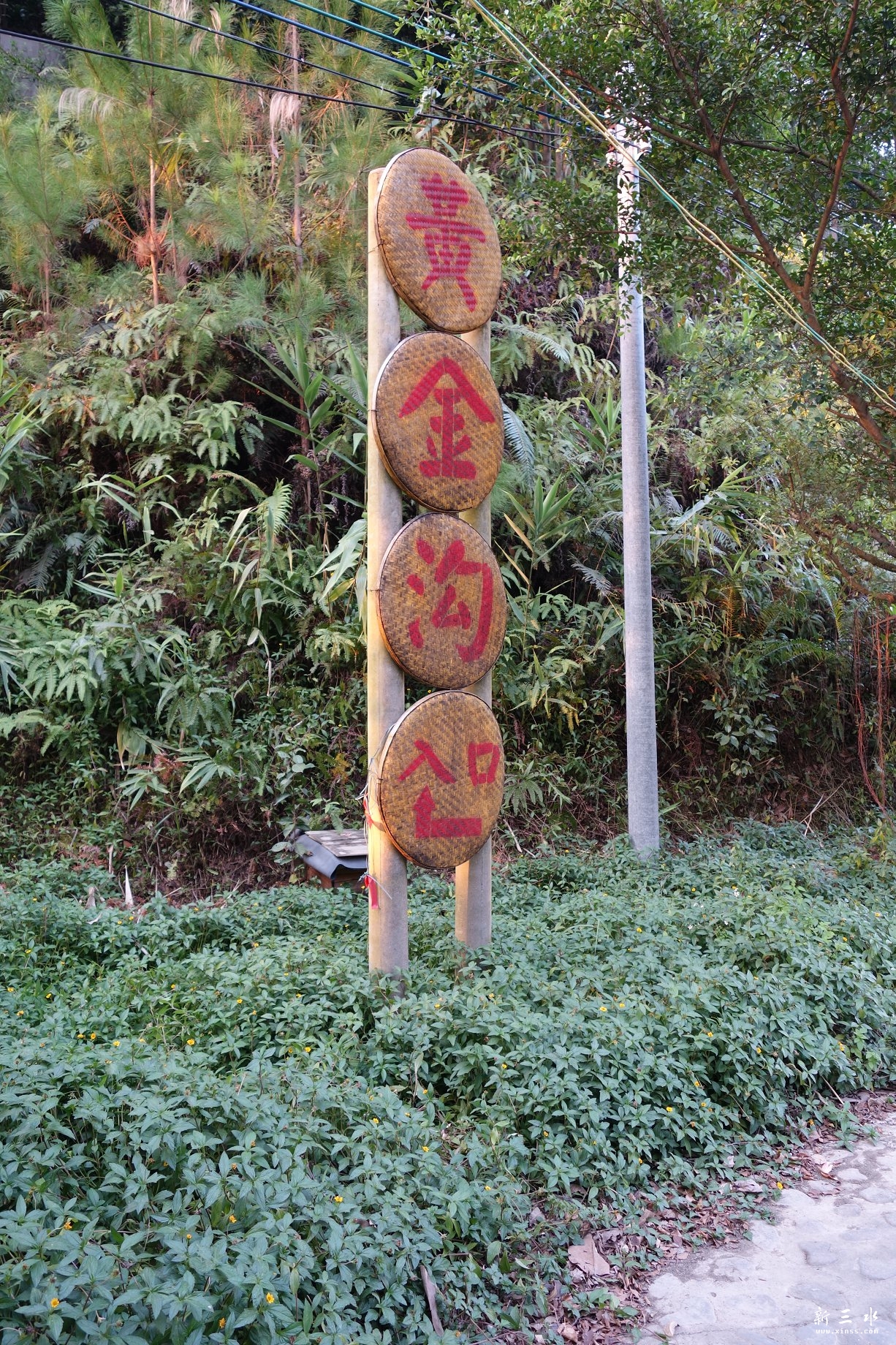 DSC03071.JPG