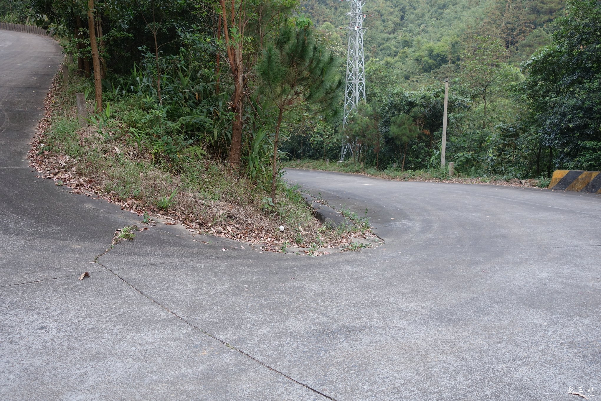 DSC03086.JPG