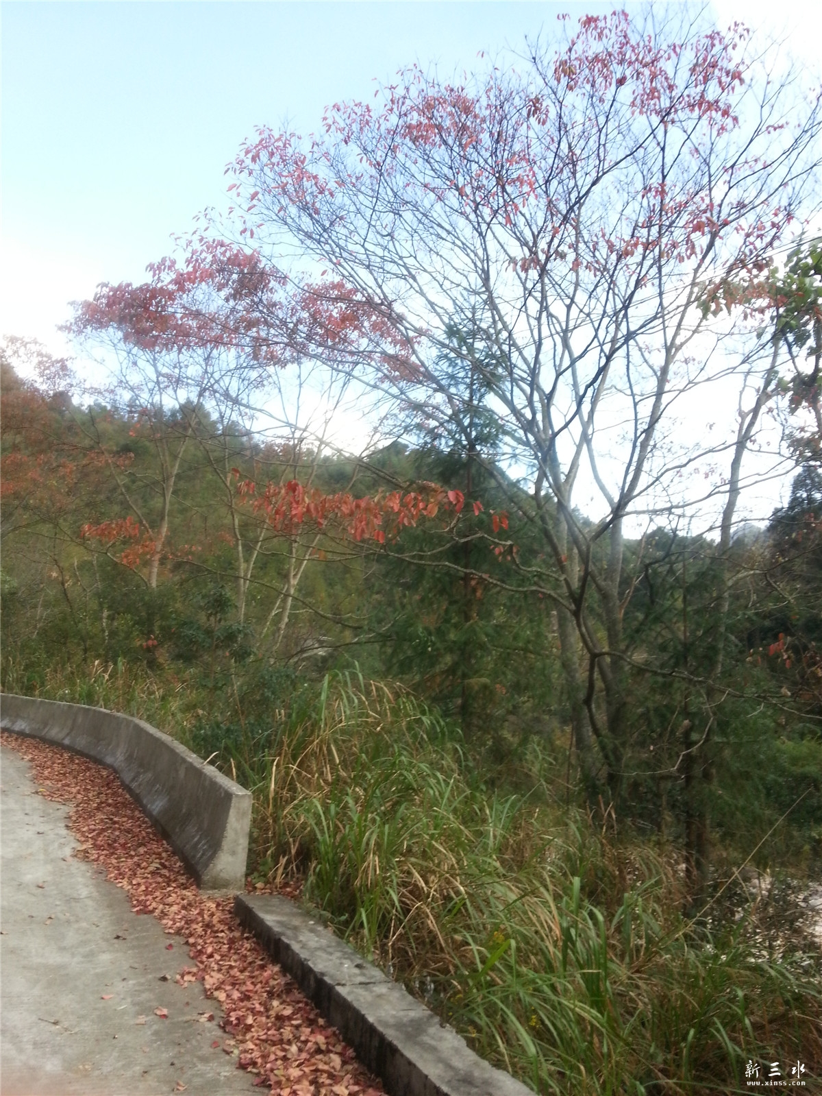 20131109_150311.jpg