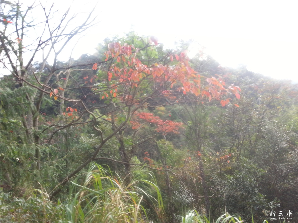 20131109_150315.jpg