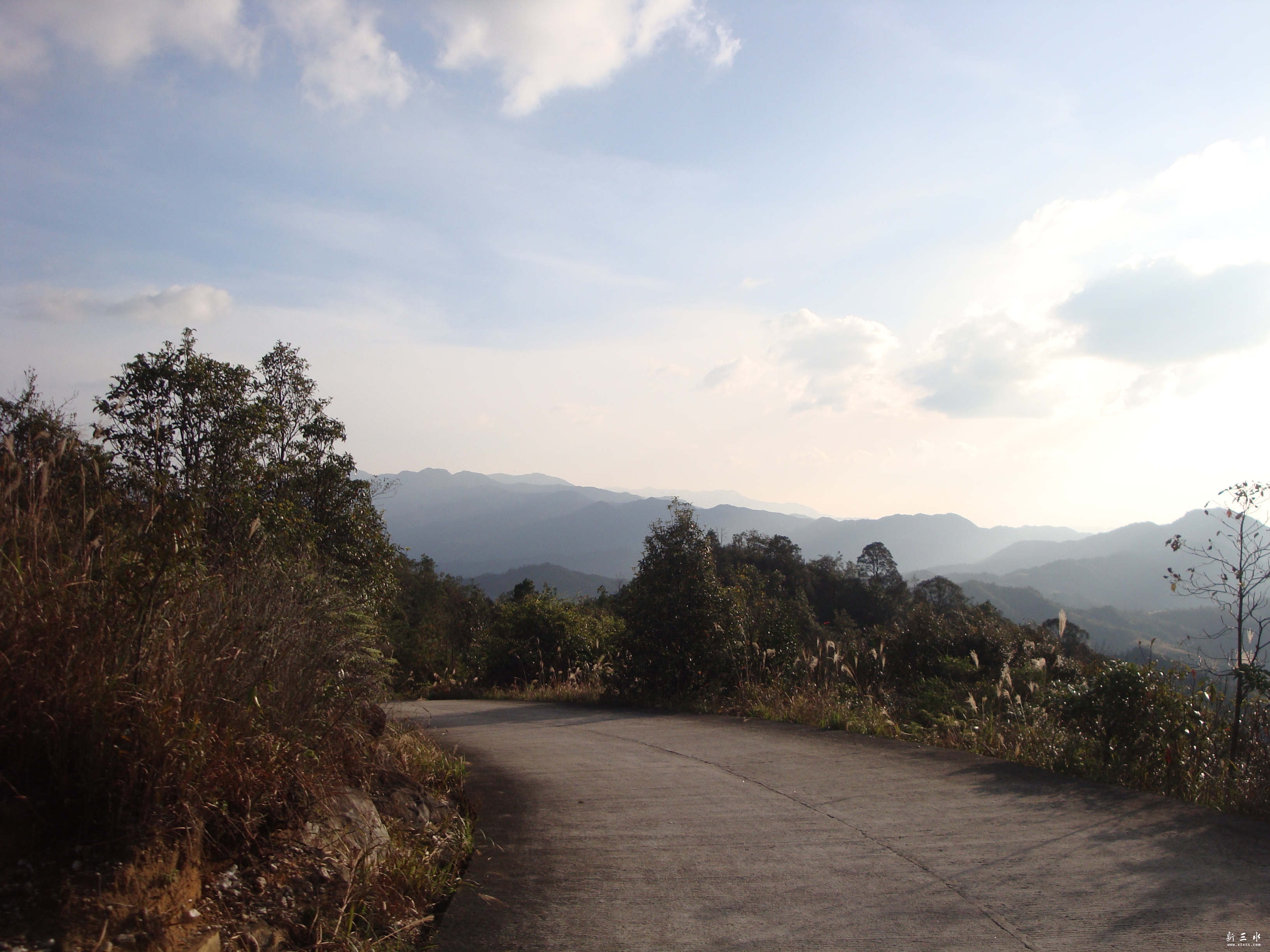 DSC09001_副本.jpg