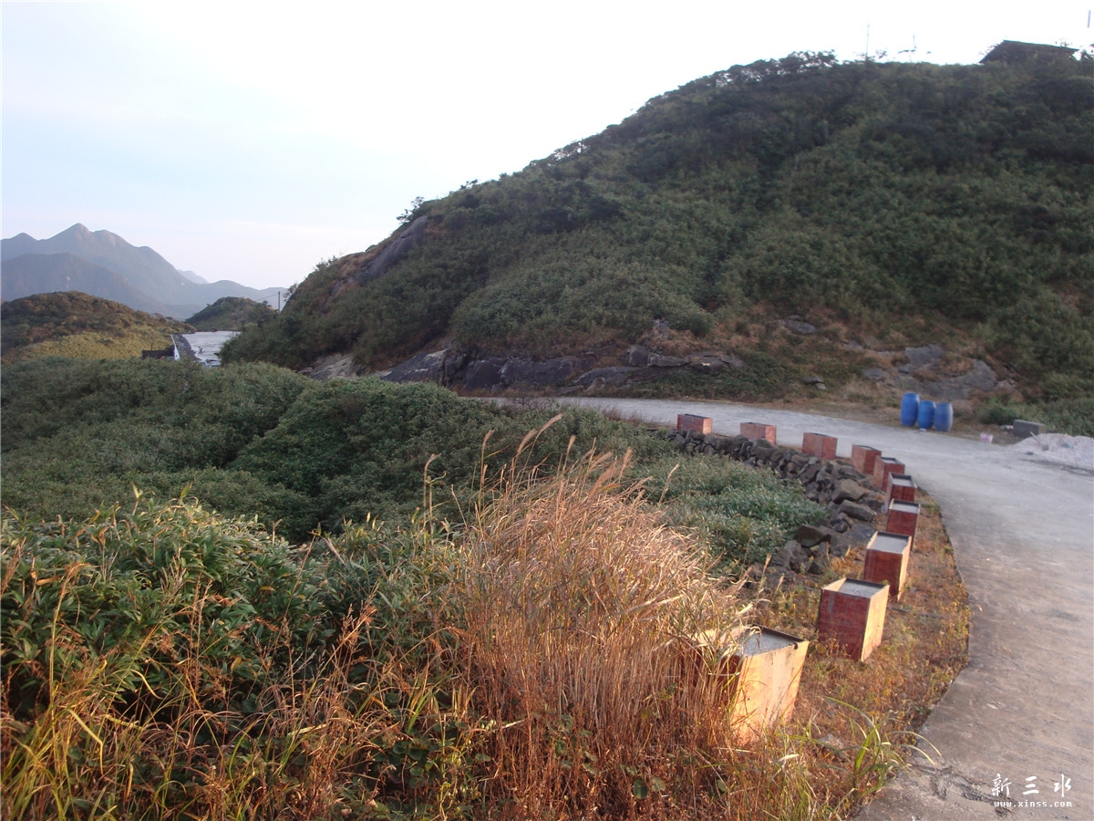 DSC09022.jpg