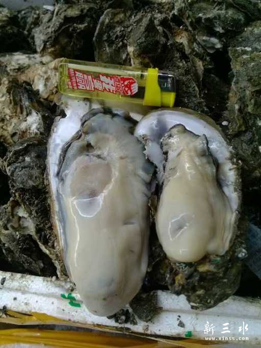 手掌甘大！！