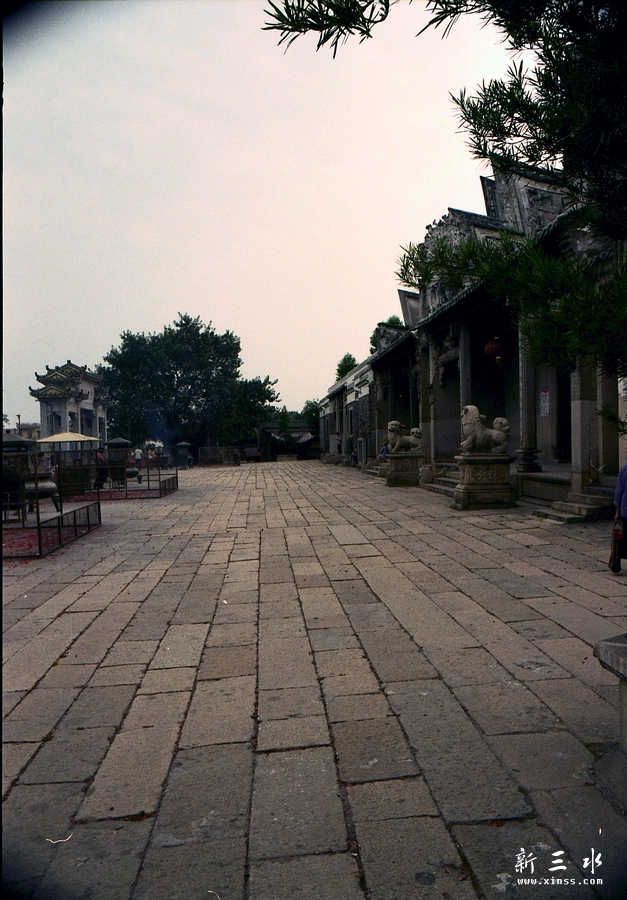 IMG00008.jpg