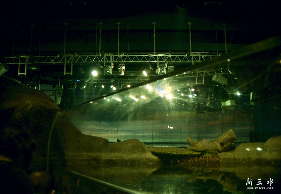 IMG00022.jpg