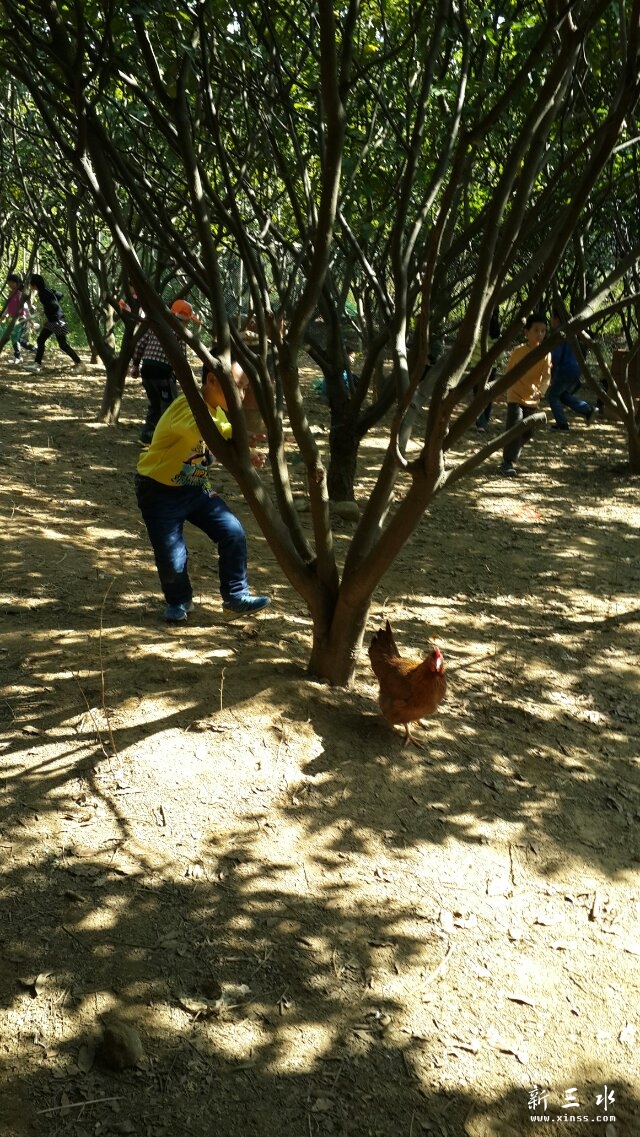 С����Ҫ�ܣ�����ץ���ˣ�