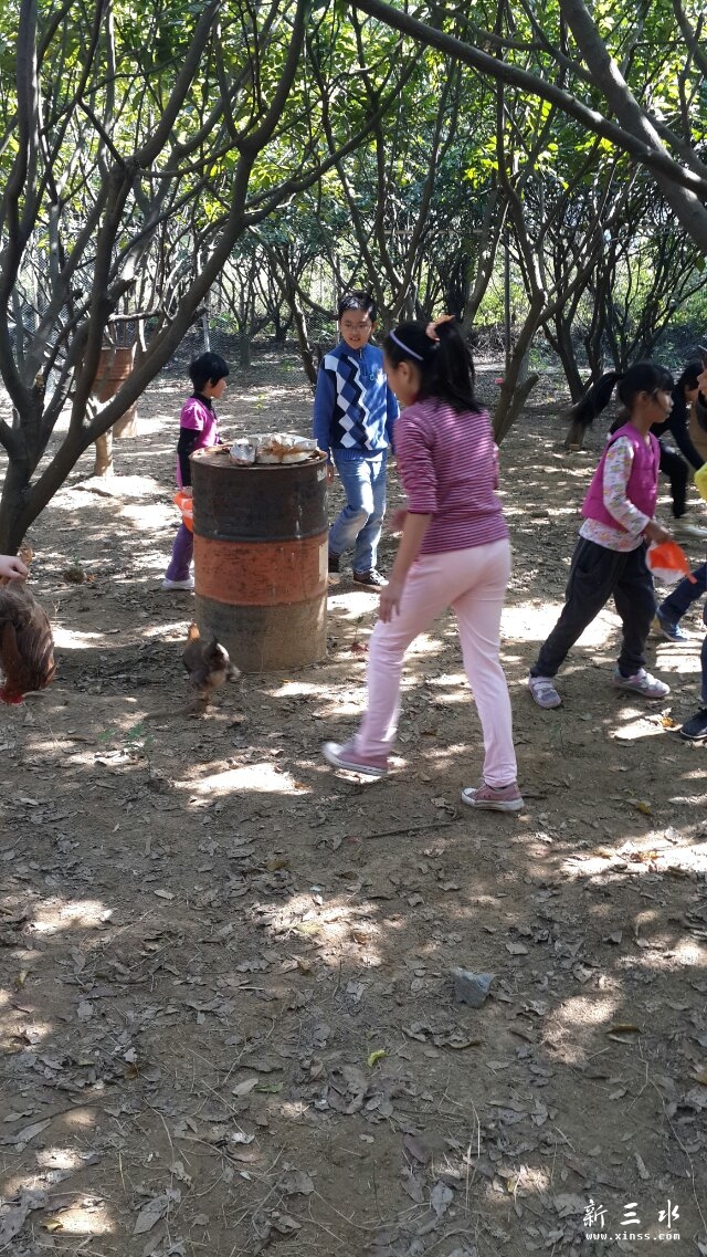 ���ǿ��������ǿ����أ���