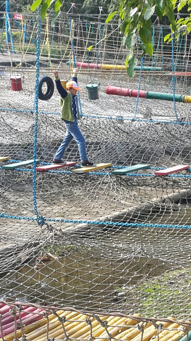 �ҹ�������