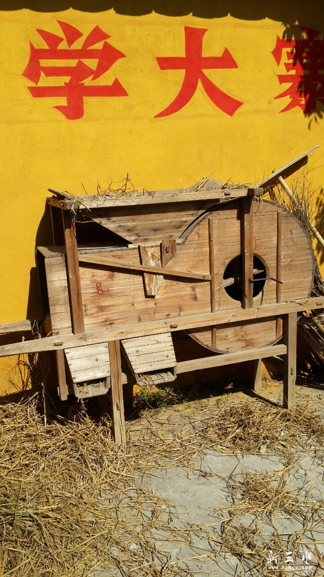 �����ʲô������