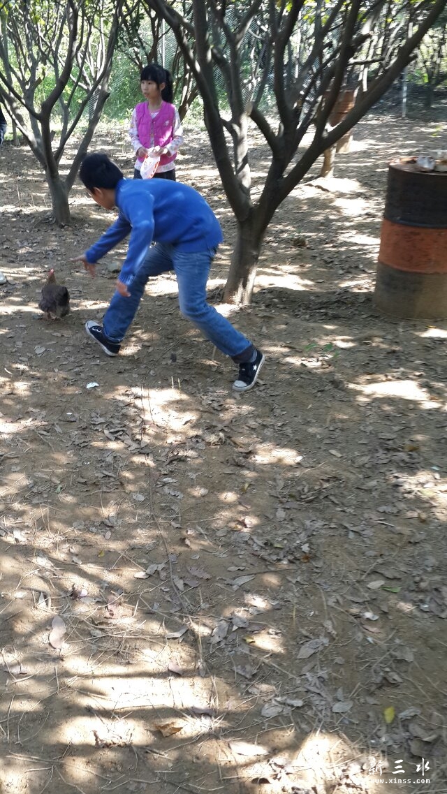 ���������ܣ�����