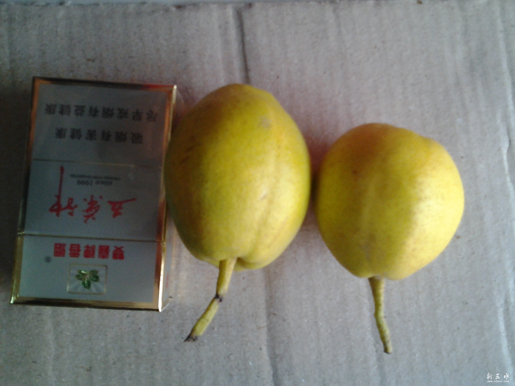 20131206_160825.jpg