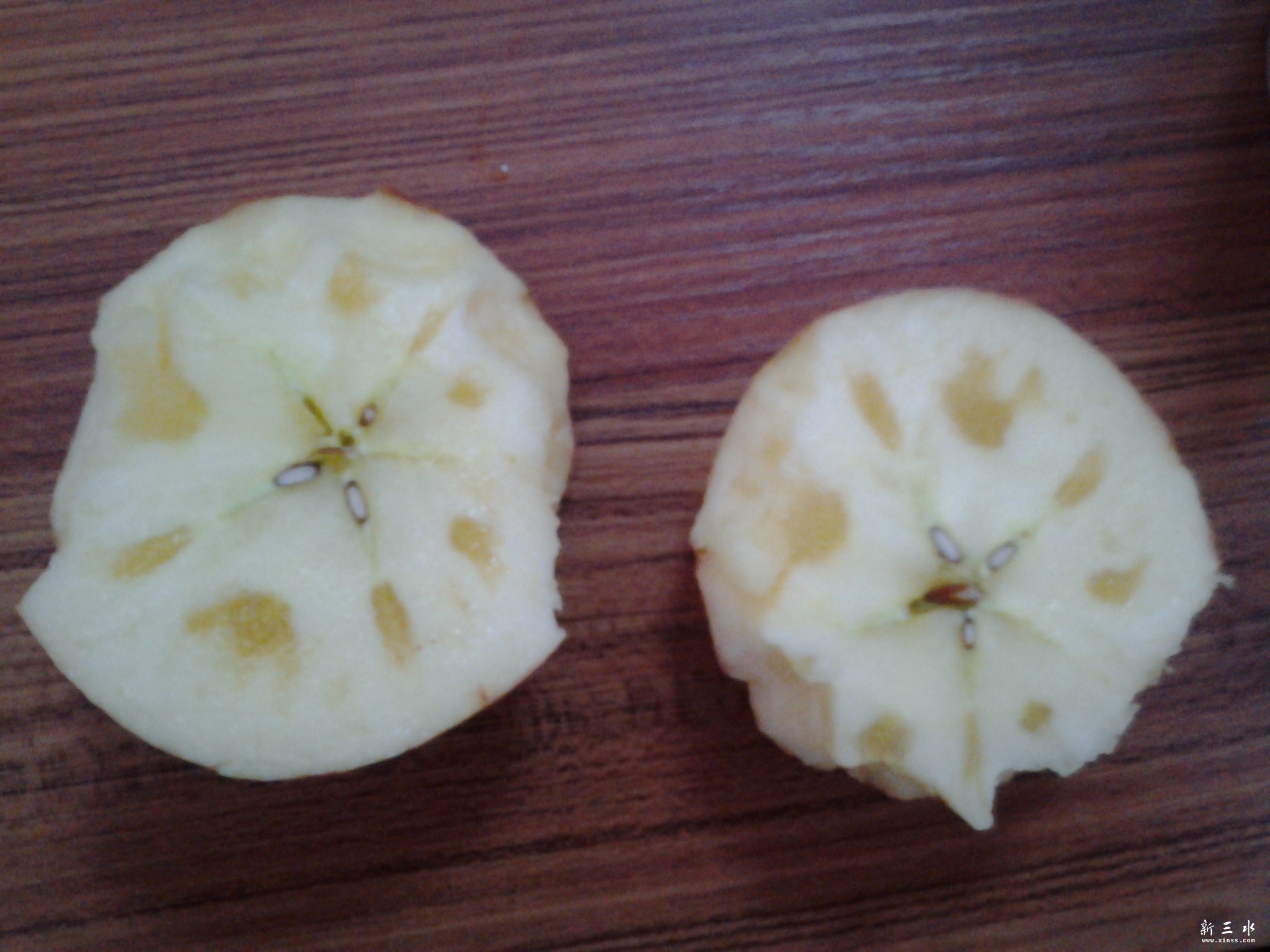20131128_134417.jpg