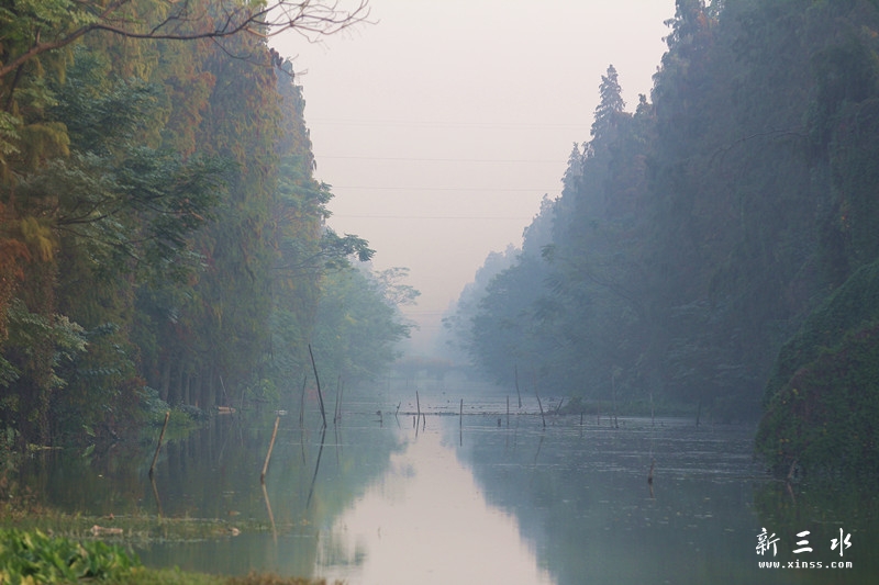IMG_9605_副本_副本.jpg