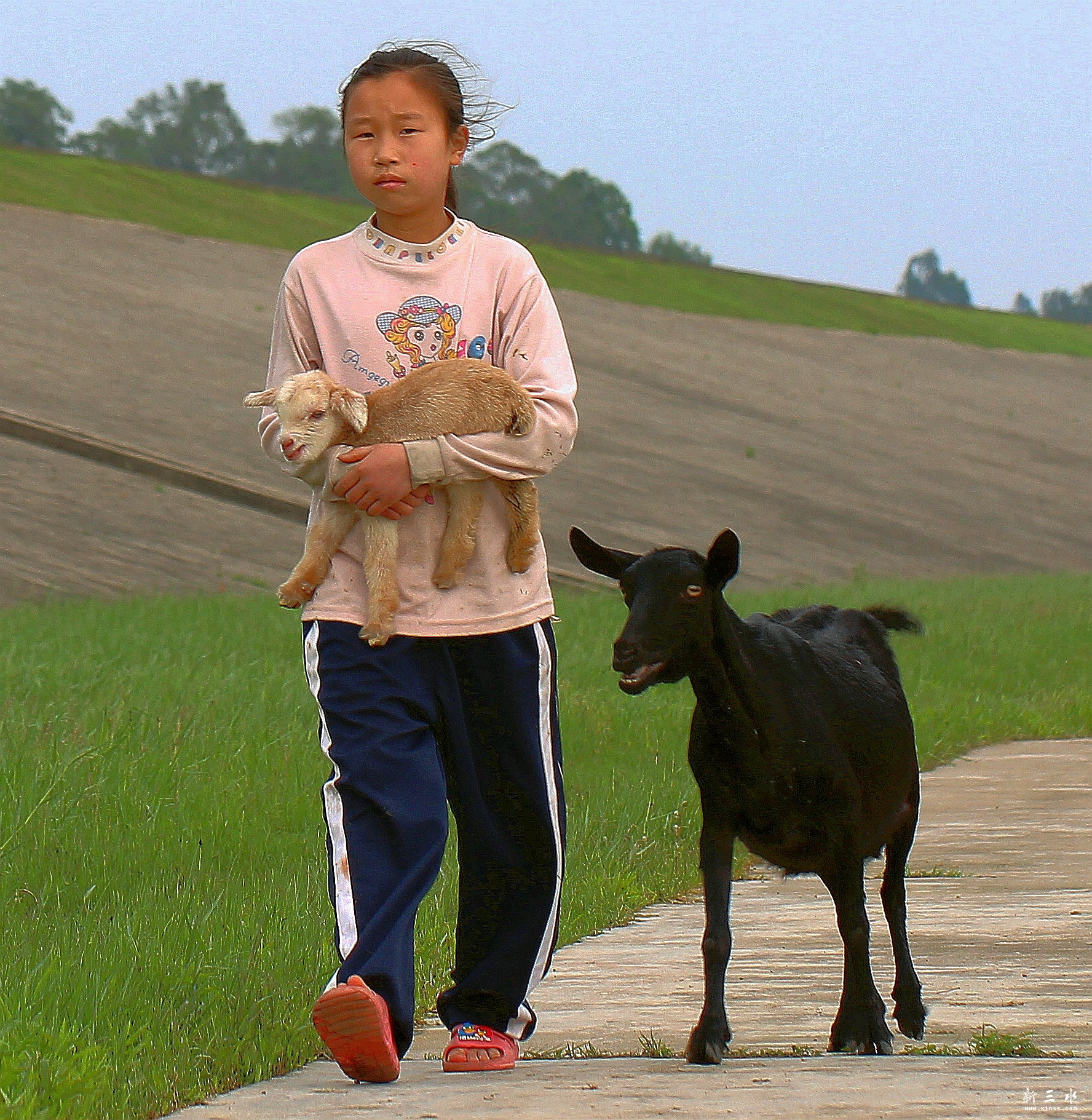 �����ӵ�