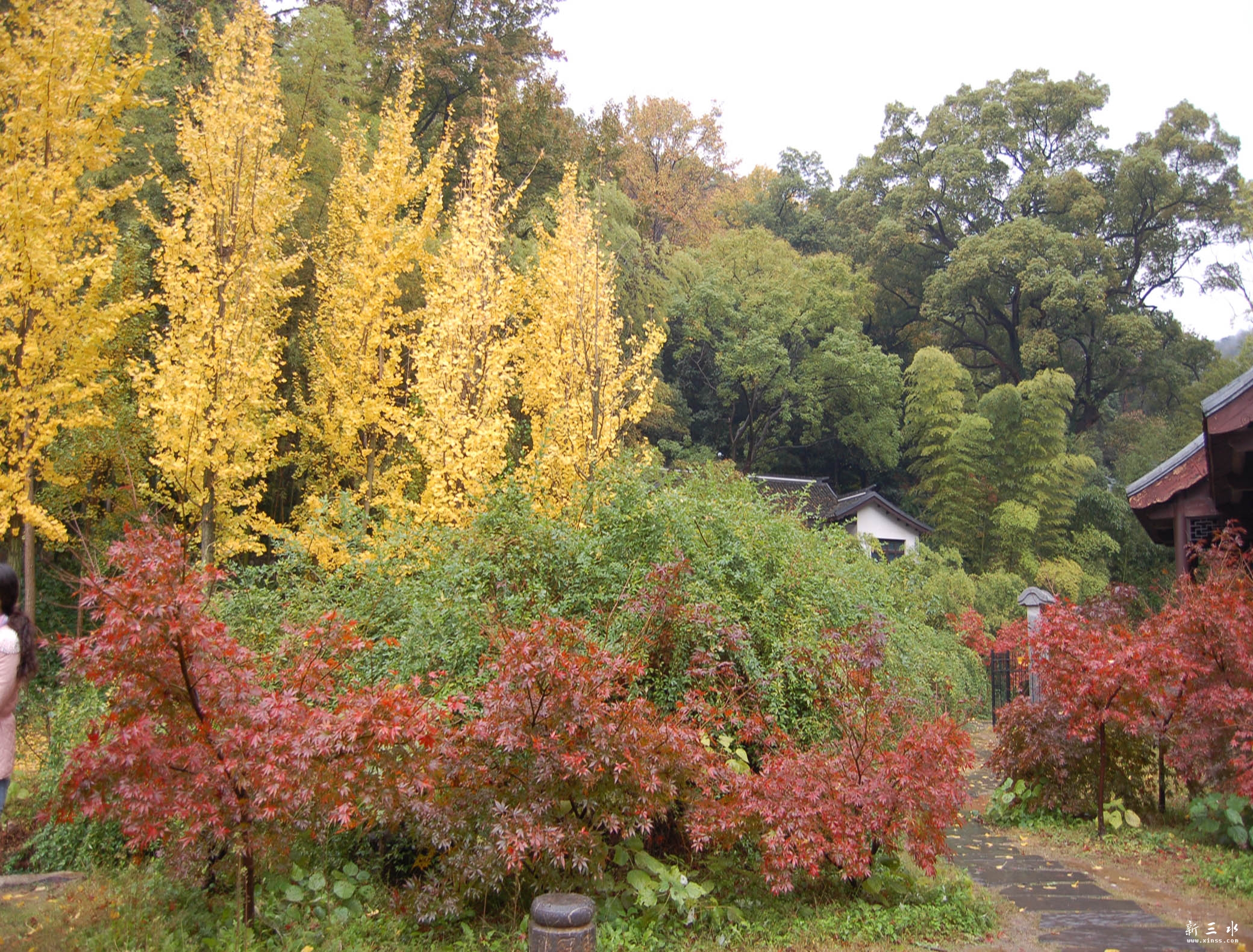 DSC_0464.JPG