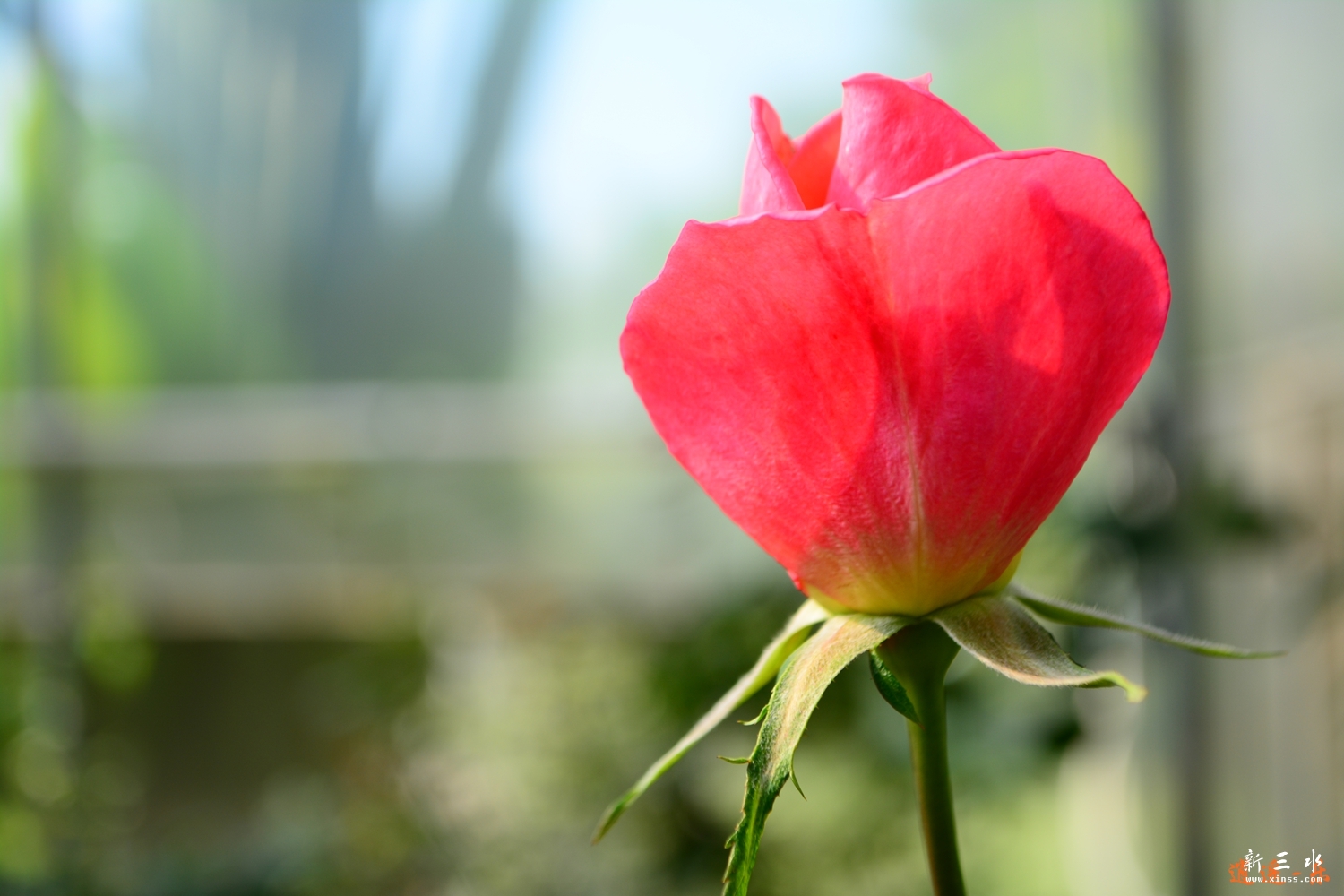 DSC_0063.jpg