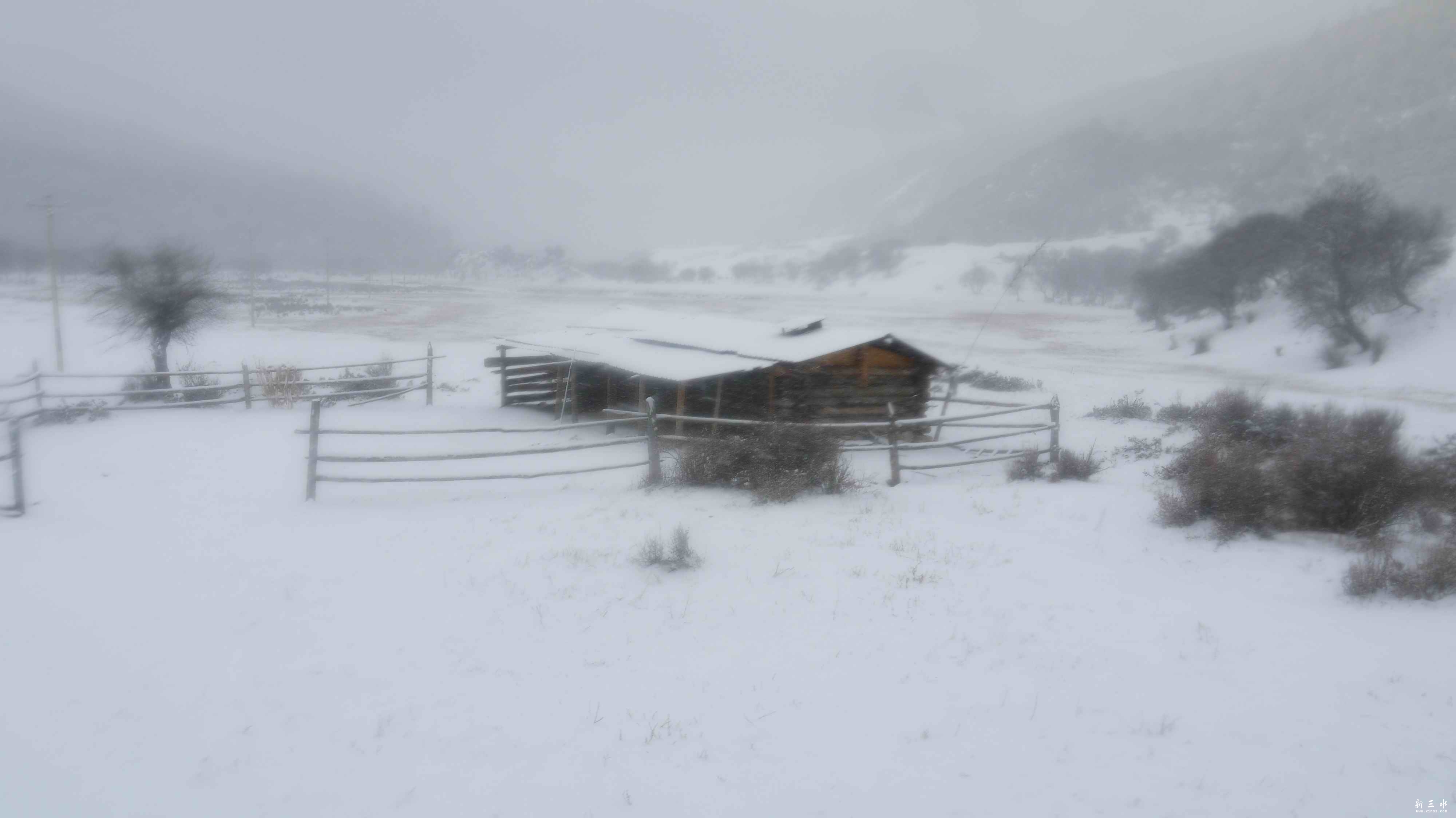 �������