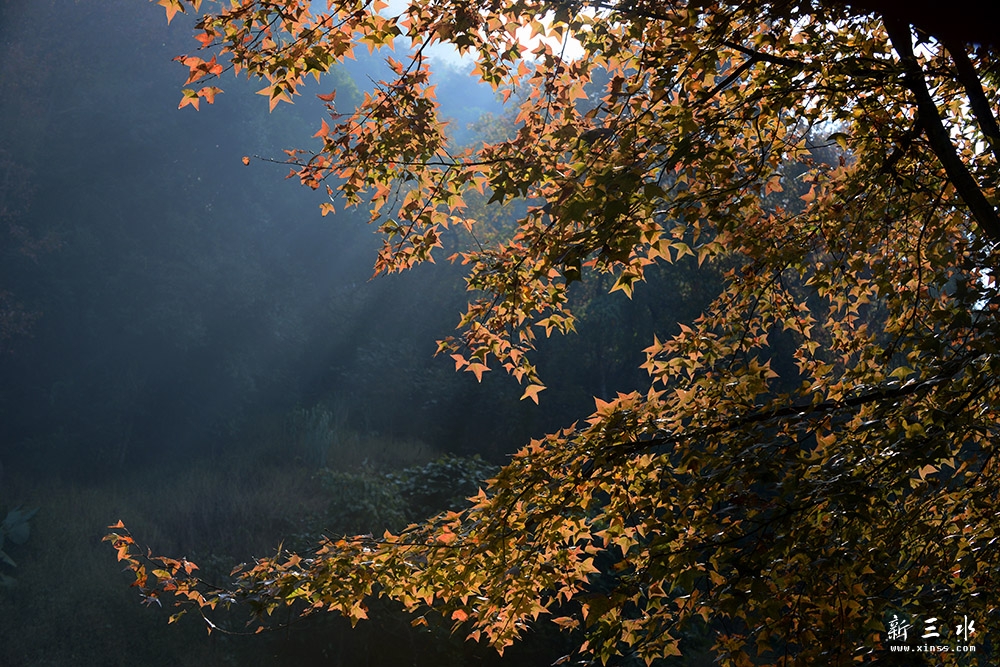 DSC_0967副本2.jpg