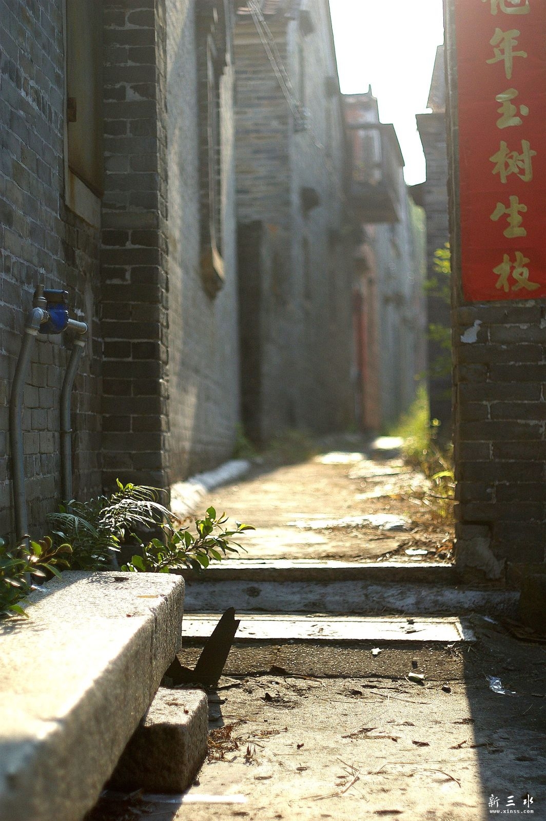IMGP7704_副本.jpeg