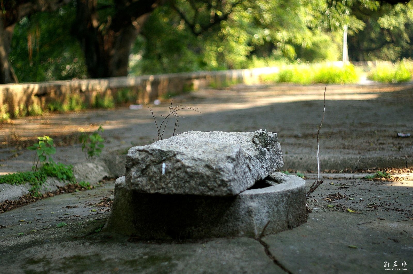 IMGP7706_副本.jpeg