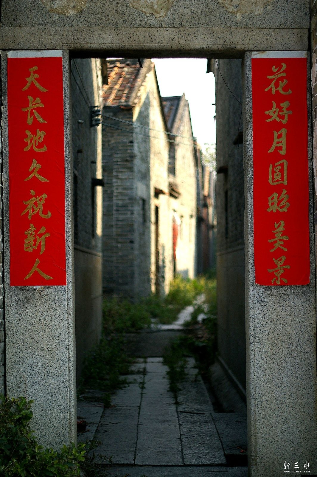 IMGP7713_副本.jpeg