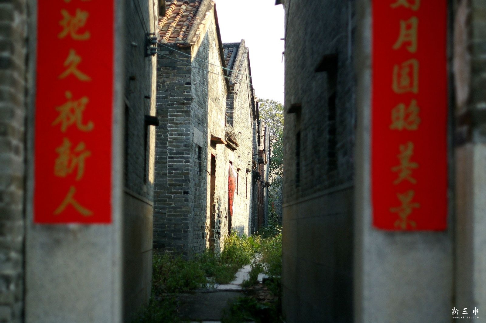 IMGP7714_副本.jpeg
