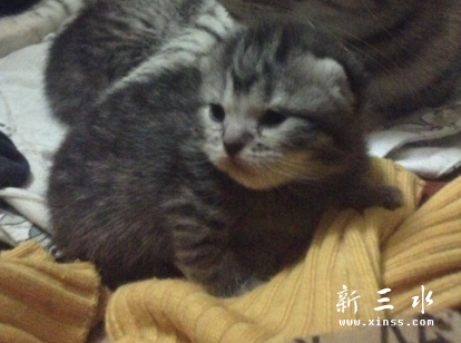 QQ截图20140101121709.png